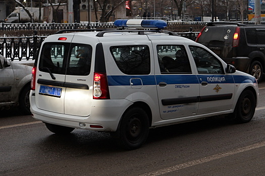 V russkoj obshhine objasnili izbienie ee uchastnikami parnja v lesu de85baa.jpg