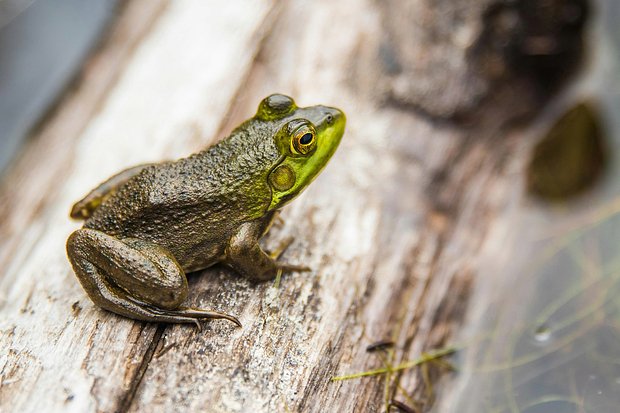 27 июня: какой праздник отмечают в России и мире