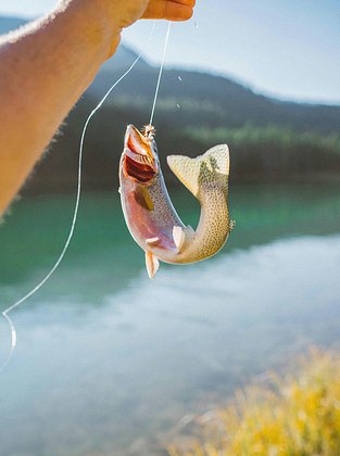 27 июня: какой праздник отмечают в России и мире