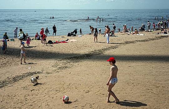 Finskij zaliv mozhet okrasitsja v zelenyj 970952d.jpg