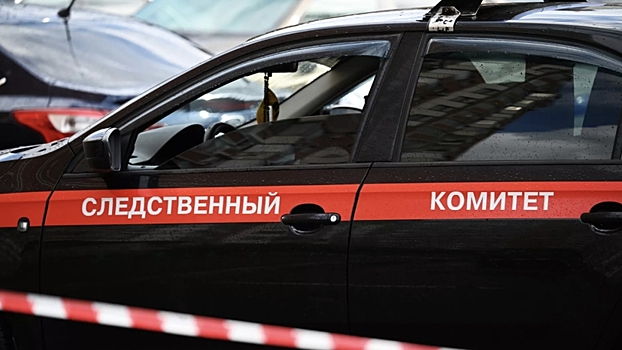 Sk soobshhil o roste chisla sovershennyh migrantami prestuplenij 89ec07b.jpg