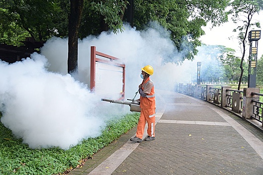 Chto takoe lihoradka chikungunja vspyshka kotoroj zafiksirovana v kitae 32021ca.jpg