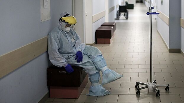 Onishhenko ocenil risk rasprostranenija lihoradki chikungunja v rossii 93ae2f7.jpg