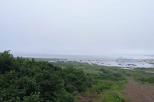 Uchenyj dopustil povtorenie moshhnogo zemletrjasenija na kamchatke f6f42a2.jpg