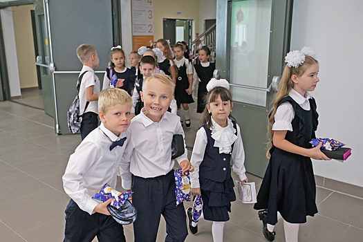 Volodin predlozhil obsudit otmenu domashnego zadanija dlja shkolnikov 333701d.jpg