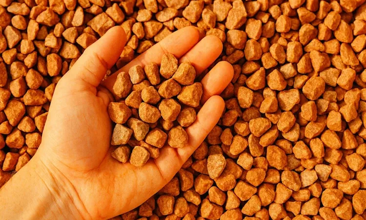 Щебень: основа долговечности в строительстве и дорожных работах