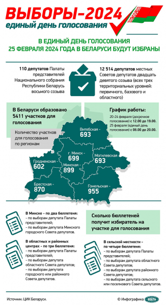 Наблюдатель от БСЖ в Гомеле: избиратели очень активны, все понимают важность события